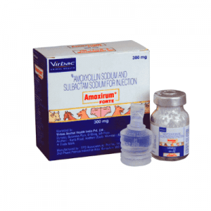 Amoxirum Forte Injection