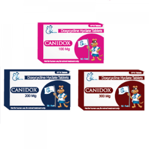 Canidox Tablets 100 mg, 200 mg and 300 mg