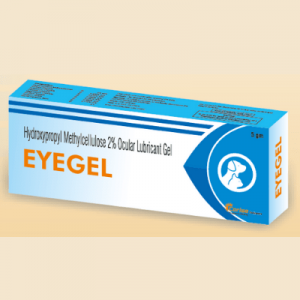 EYEGEL – Hydroxypropyl methylcellulose 2% ocular lubricant gel