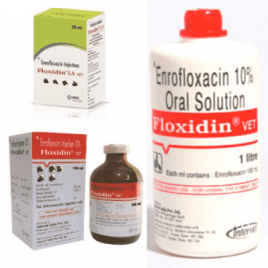 Floxidin 10% Enrofloxacin Injection