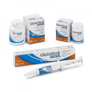 Glutamax Forte Paste & Tablets