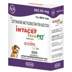 Intacef Tazo PET Ceftriaxone Tazobactam Injection