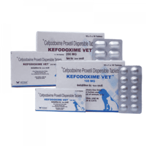 Kefodoxime Vet DT 100 200 mg Tablet