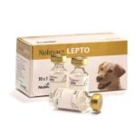 Nobivac RL – The Veterinary Medicine