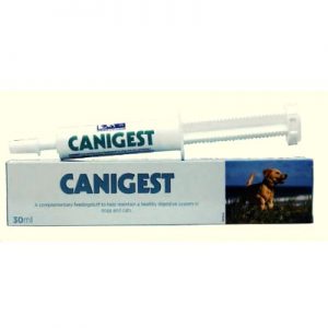 Canigest Paste