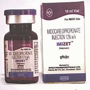 Imizet Injection