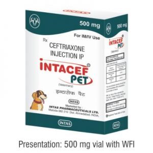 Intacef  PET – Ceftriaxone Injection