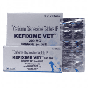 Kefixime Vet DT 100 200 mg Tablet