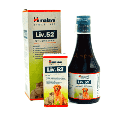 Himalaya Liv.52 Syrup, 200 ml Price, Uses, Side Effects