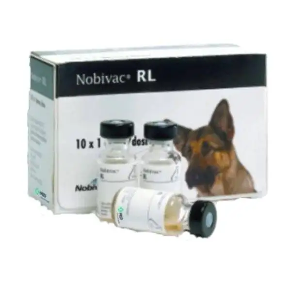 nobivac rl msd rabies lepto vaccine for dogs