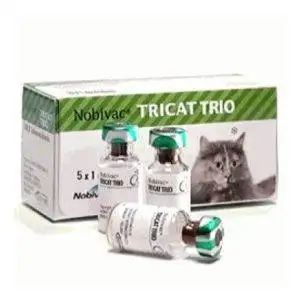 nobivac tricat trio vaccine msd for cats felv fvrcp