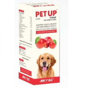 PETUP Syrup