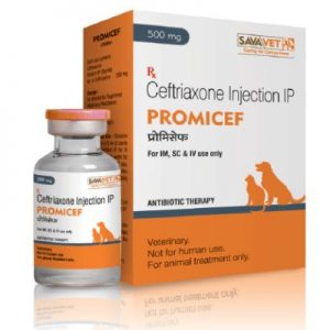 Promicef – Ceftriaxone Injection