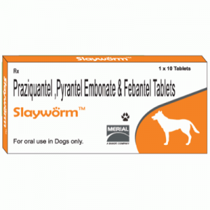 Slayworm Tablet