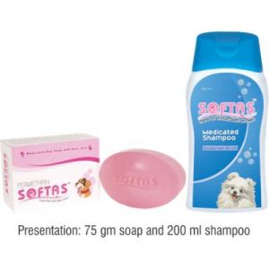 Softas Soap & Shampoo
