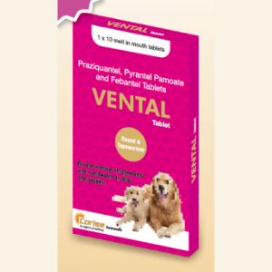 Vental Tablets