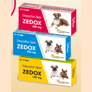 Zedox Tablets 100 mg, 200 mg & 300 mg
