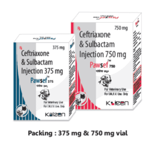 Pawsef 375 750 mg Ceftriaxone Sulbactam Injection