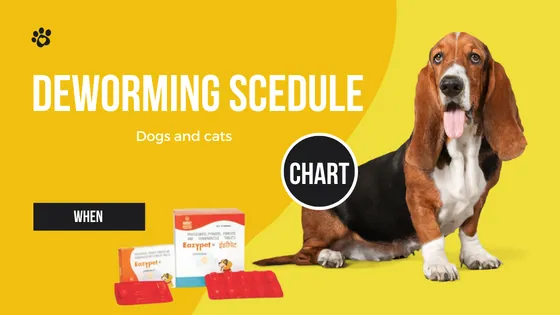 Deworming schedule chart dogs cats