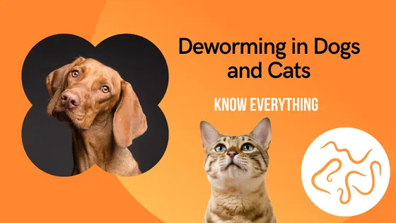 You are currently viewing Deworming in Dogs and Cats