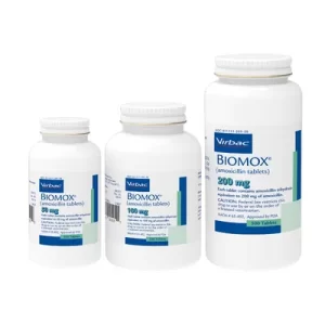 Biomox Amoxicillin Tablets
