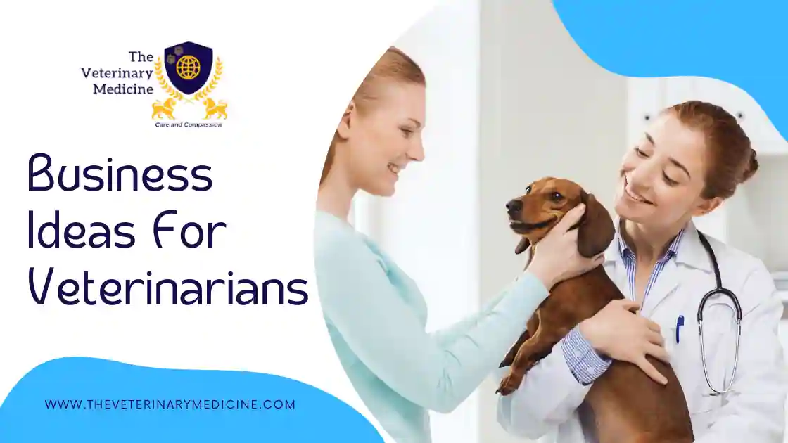 Read more about the article Business Ideas for Veterinarians