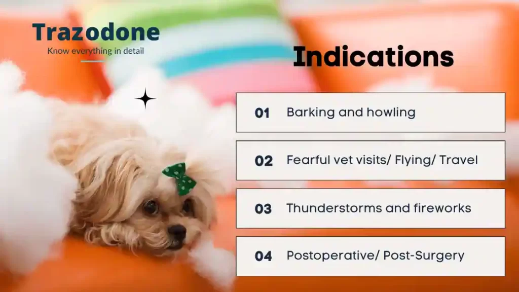 indications of trazodone in dogs