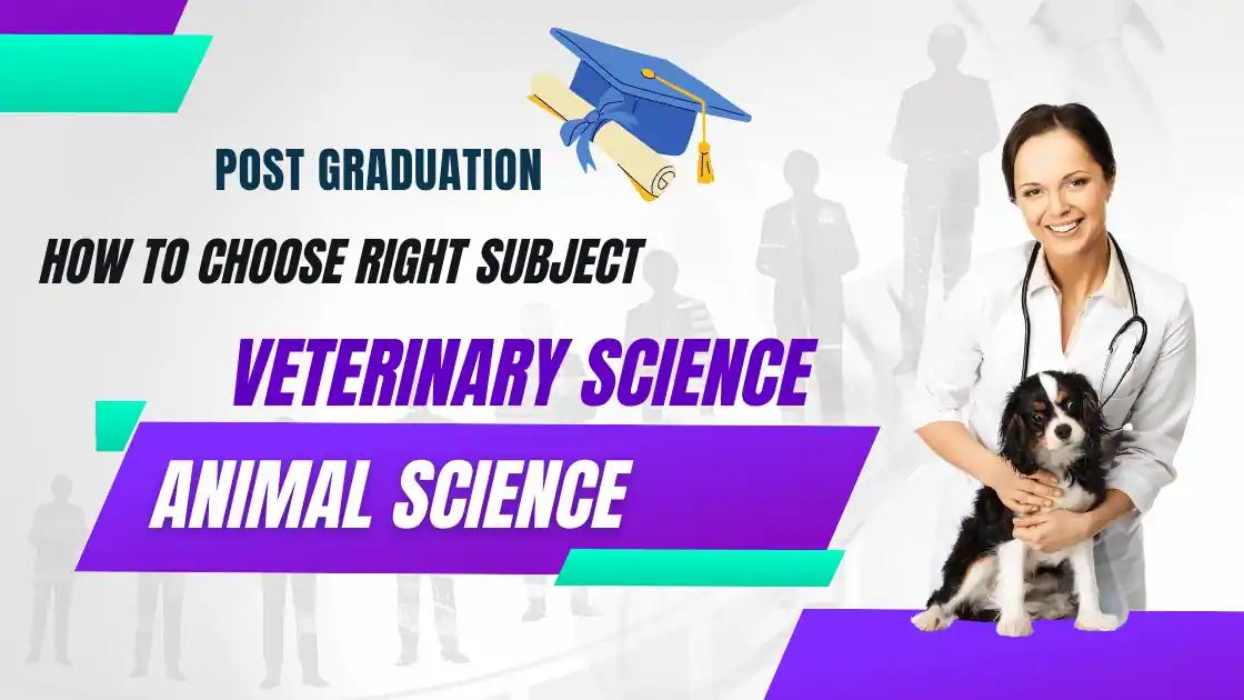 Read more about the article Post-Graduation in Veterinary Medicine