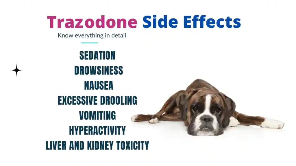 side effects of trazodone