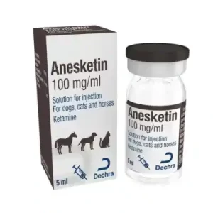 Anesketin/ Nimatek Injection