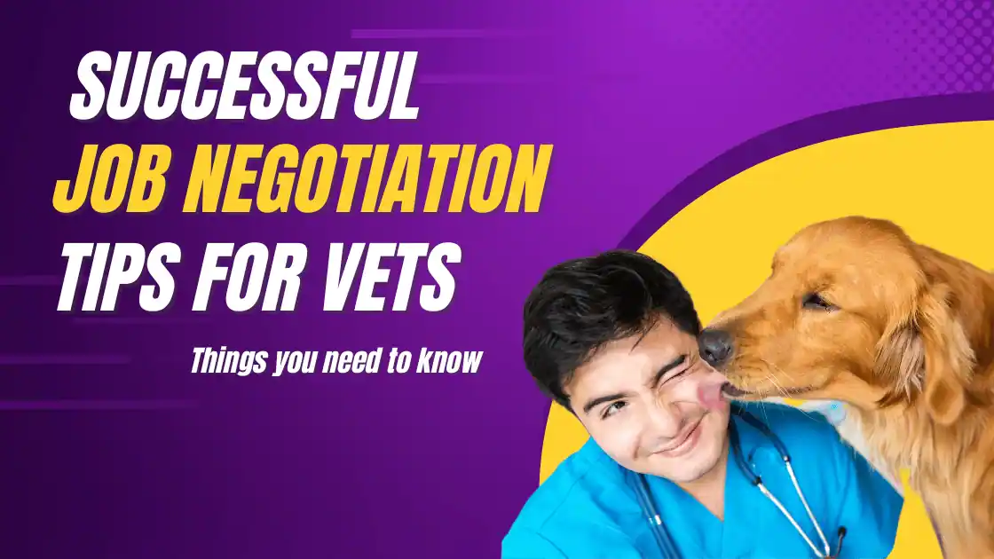 Read more about the article Successful Job Negotiation Tips for Veterinarians