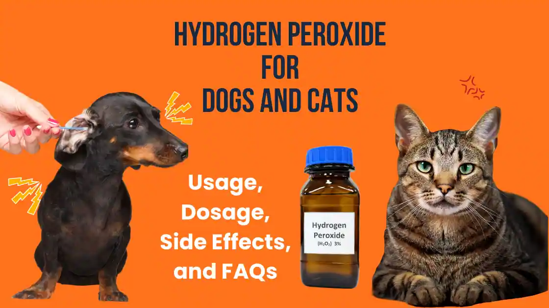 Read more about the article Hydrogen Peroxide for Dogs and Cats