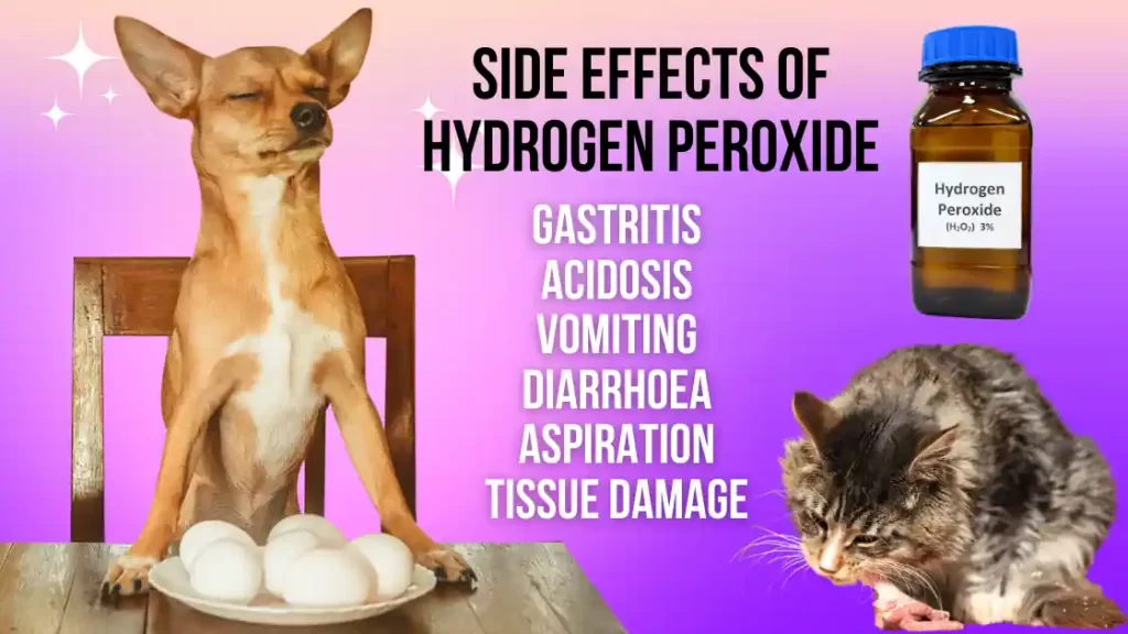 hydrogen peroxide side effects dogs cats