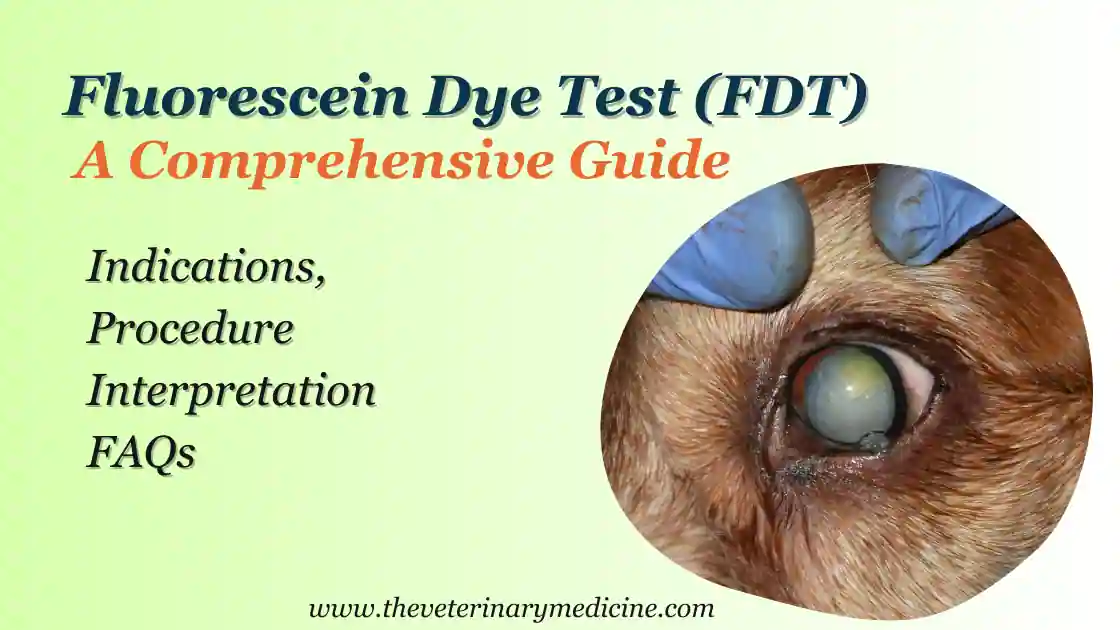 You are currently viewing Fluorescein Dye Test (FDT): A Comprehensive Guide