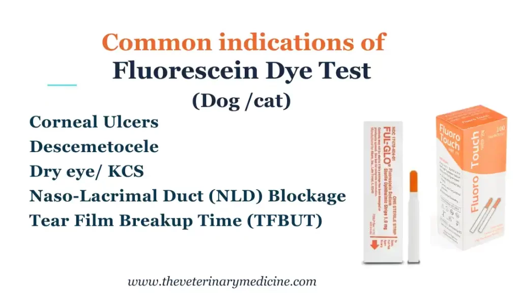 fluorescein dye test indication dogs cats