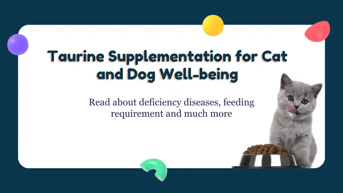 Read more about the article Taurine Supplementation for Cat and Dog Well-being