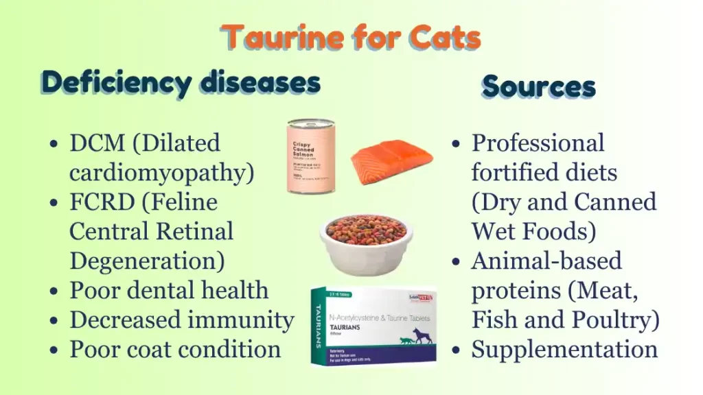 Taurine supplement sources for cat and dogs