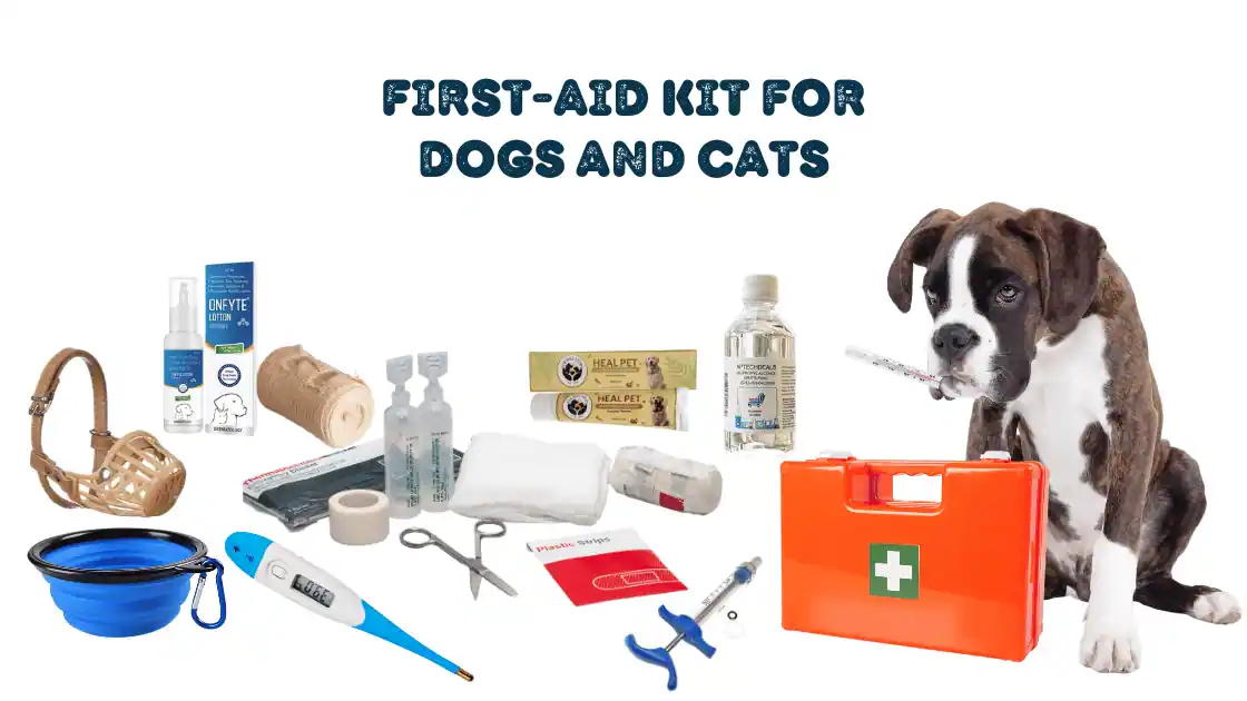 Read more about the article First-Aid Kit for Dogs and Cats