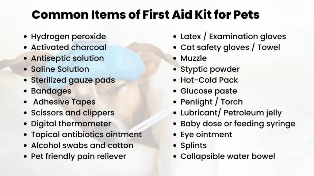 First-Aid Kit for pets dogs cats items list
