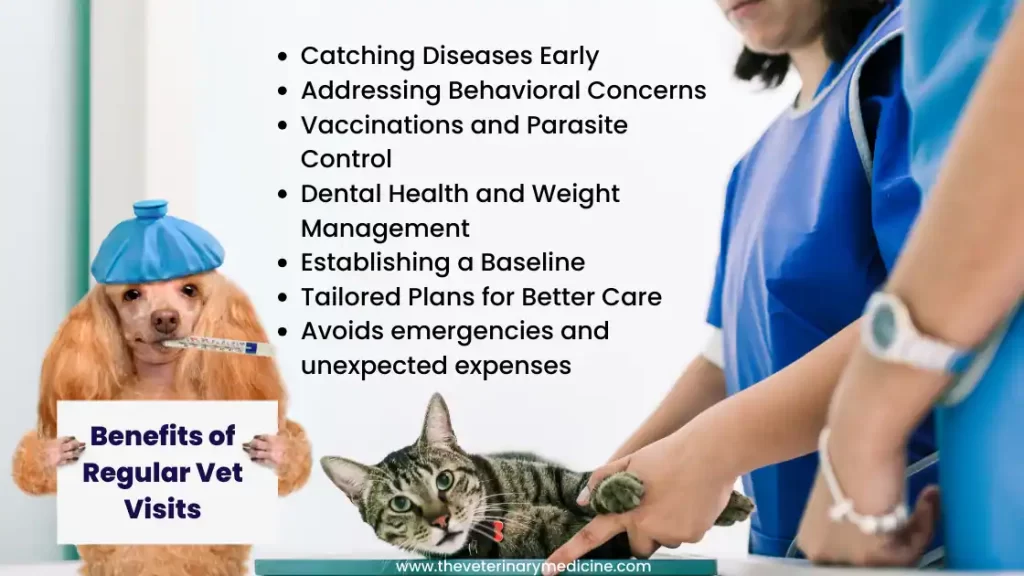 Benefits of regular veterinary visits