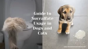 Read more about the article Guide to Sucralfate Usage in Dogs and Cats