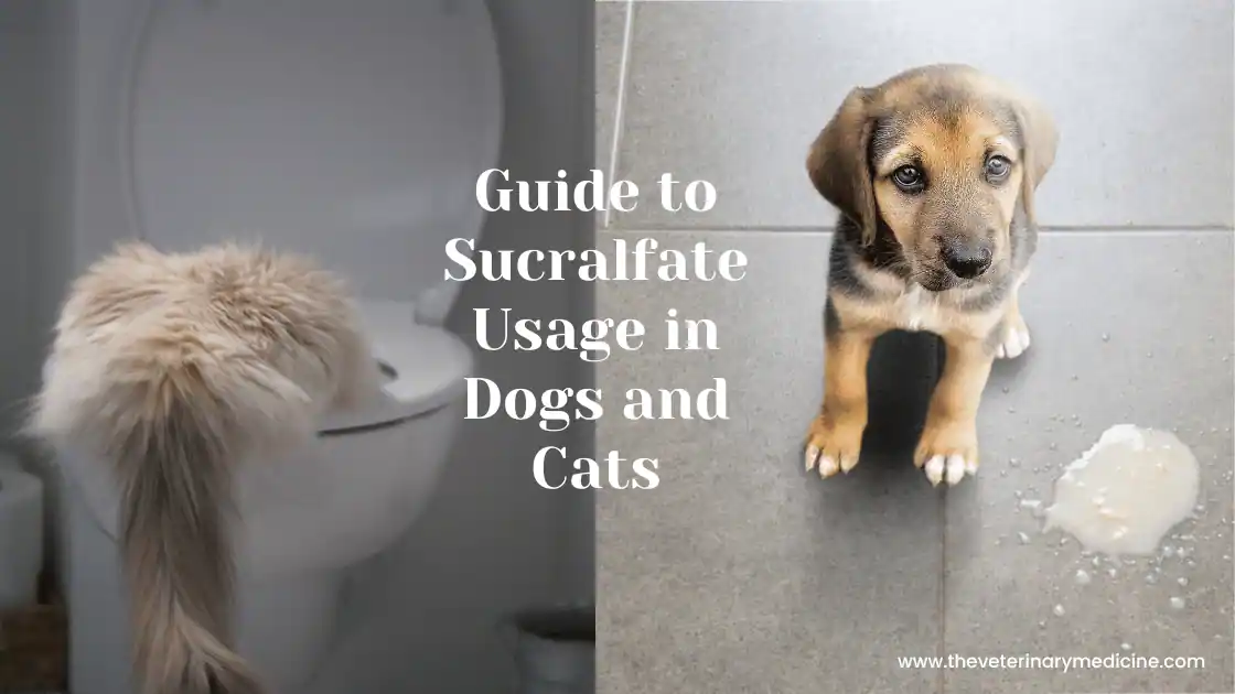 You are currently viewing Guide to Sucralfate Usage in Dogs and Cats
