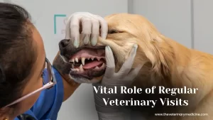 vital role of regular veterinary visits