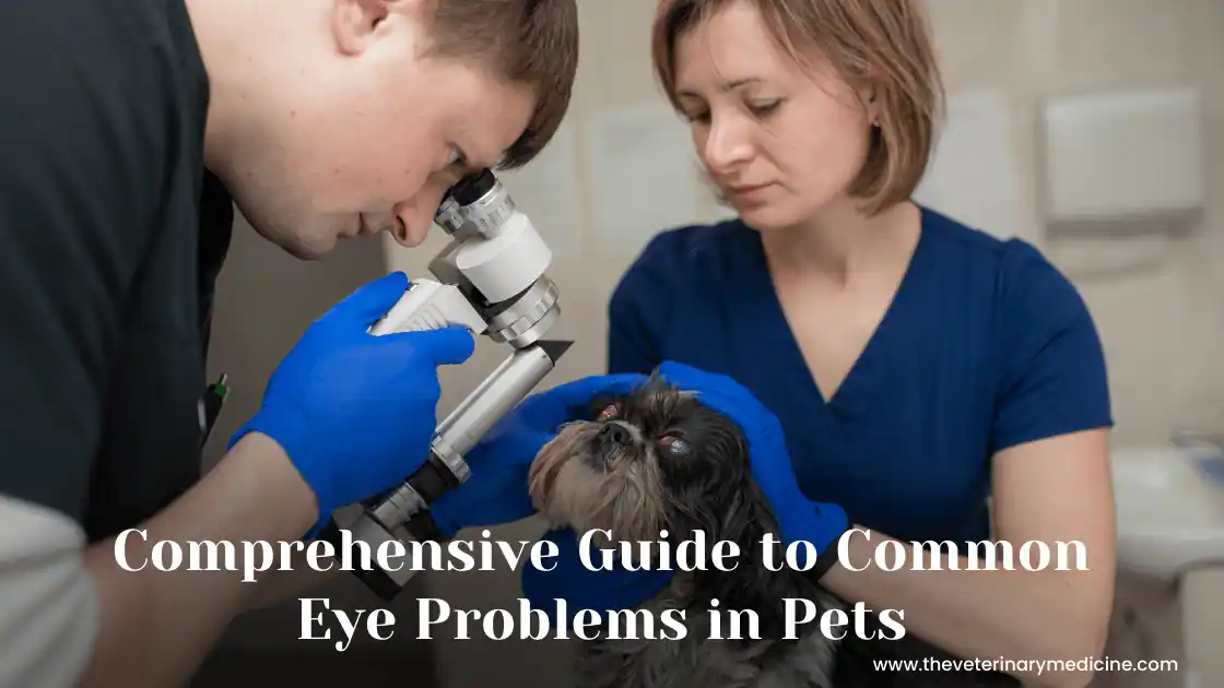 You are currently viewing Comprehensive Guide to Common Eye Problems in Pets