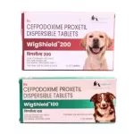 WigShield Tablets 100 200 mg cefpodoxime dogs cats