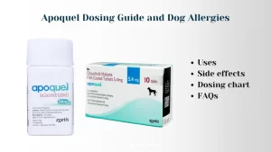 Read more about the article Apoquel Dosing Guide and Dog Allergies