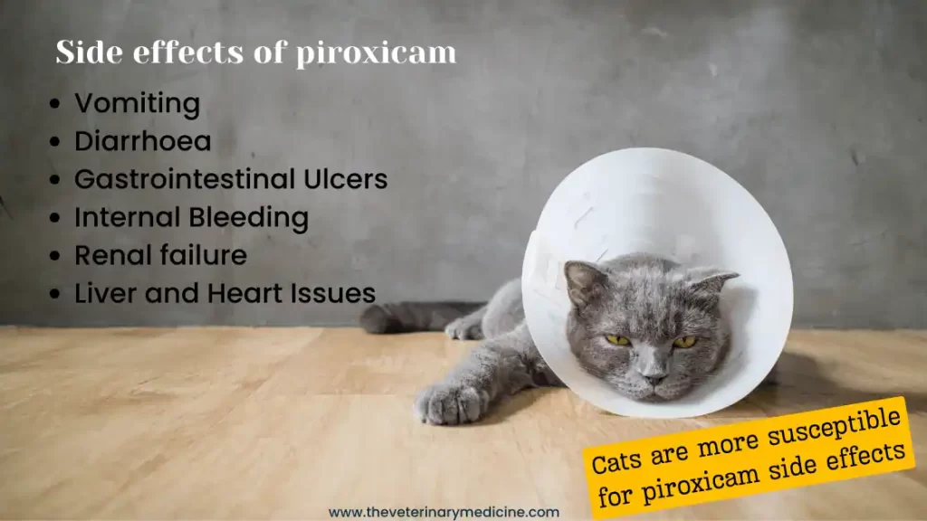 piroxicam side effects dogs cats