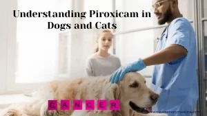 Read more about the article Understanding Piroxicam in Dogs and Cats