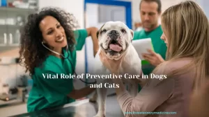 Read more about the article Vital Role of Preventive Care in Dogs and Cats