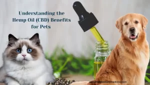 Unleashing the Power of Hemp Oil for pets